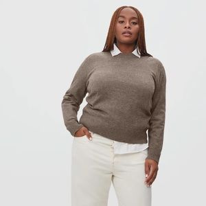 Everlane The Cashmere Crew